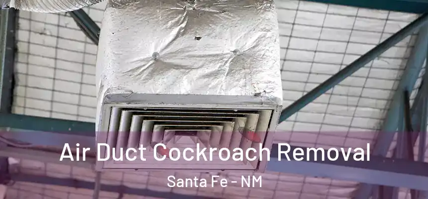 Air Duct Cockroach Removal Santa Fe - NM