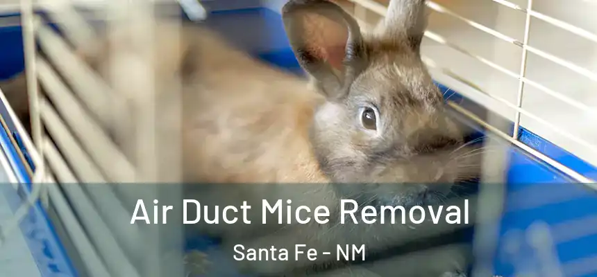 Air Duct Mice Removal Santa Fe - NM