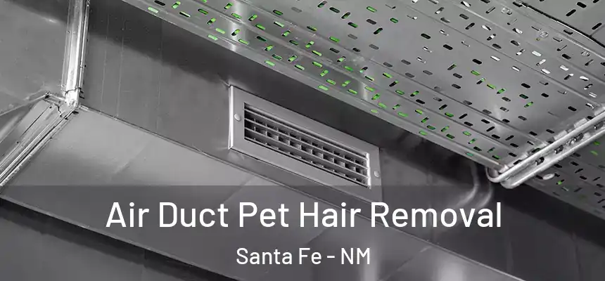Air Duct Pet Hair Removal Santa Fe - NM