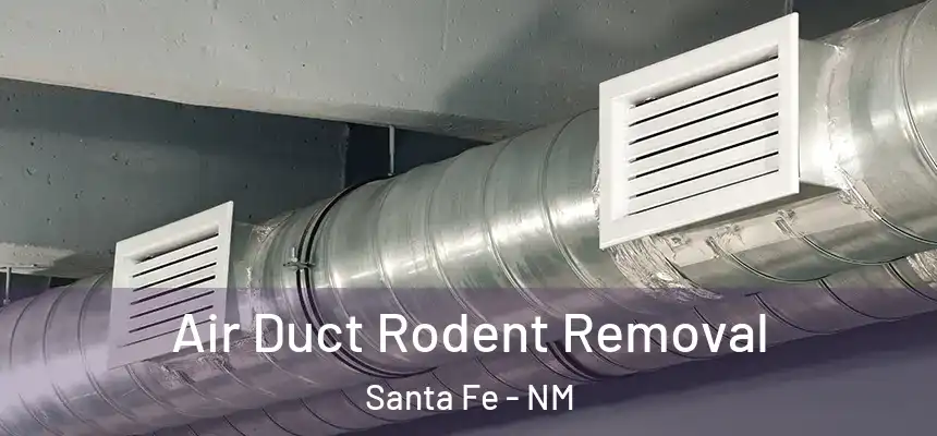 Air Duct Rodent Removal Santa Fe - NM