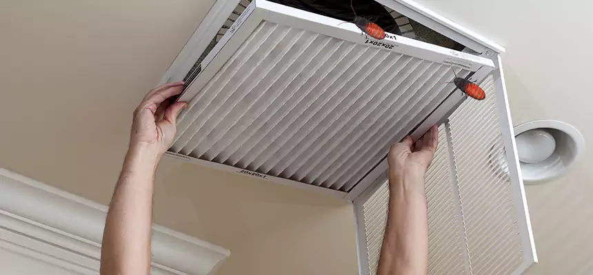 Preventive Cockroach-Proofing for Ducts in Santa Fe