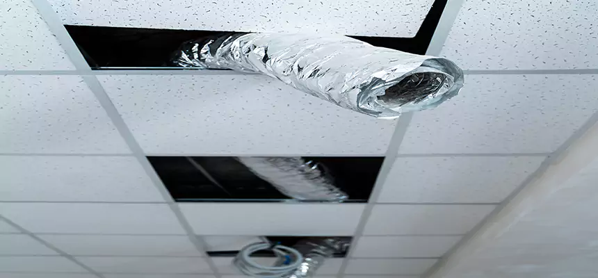 Our Air Duct Pet Hair Removal Services in Santa Fe, NM