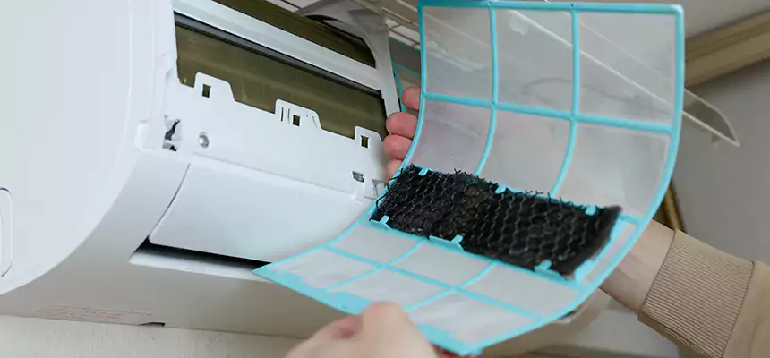 Gentle Ductwork Odor-Control Pet Dander Duct Cleaning in Santa Fe, NM