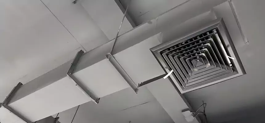 Our Rodent Droppings In Vents Services in Santa Fe, NM