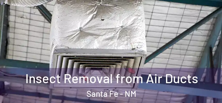 Insect Removal from Air Ducts Santa Fe - NM