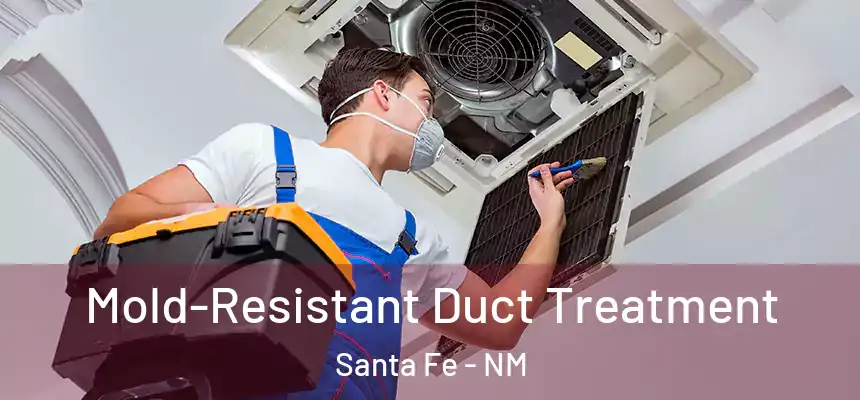 Mold-Resistant Duct Treatment Santa Fe - NM